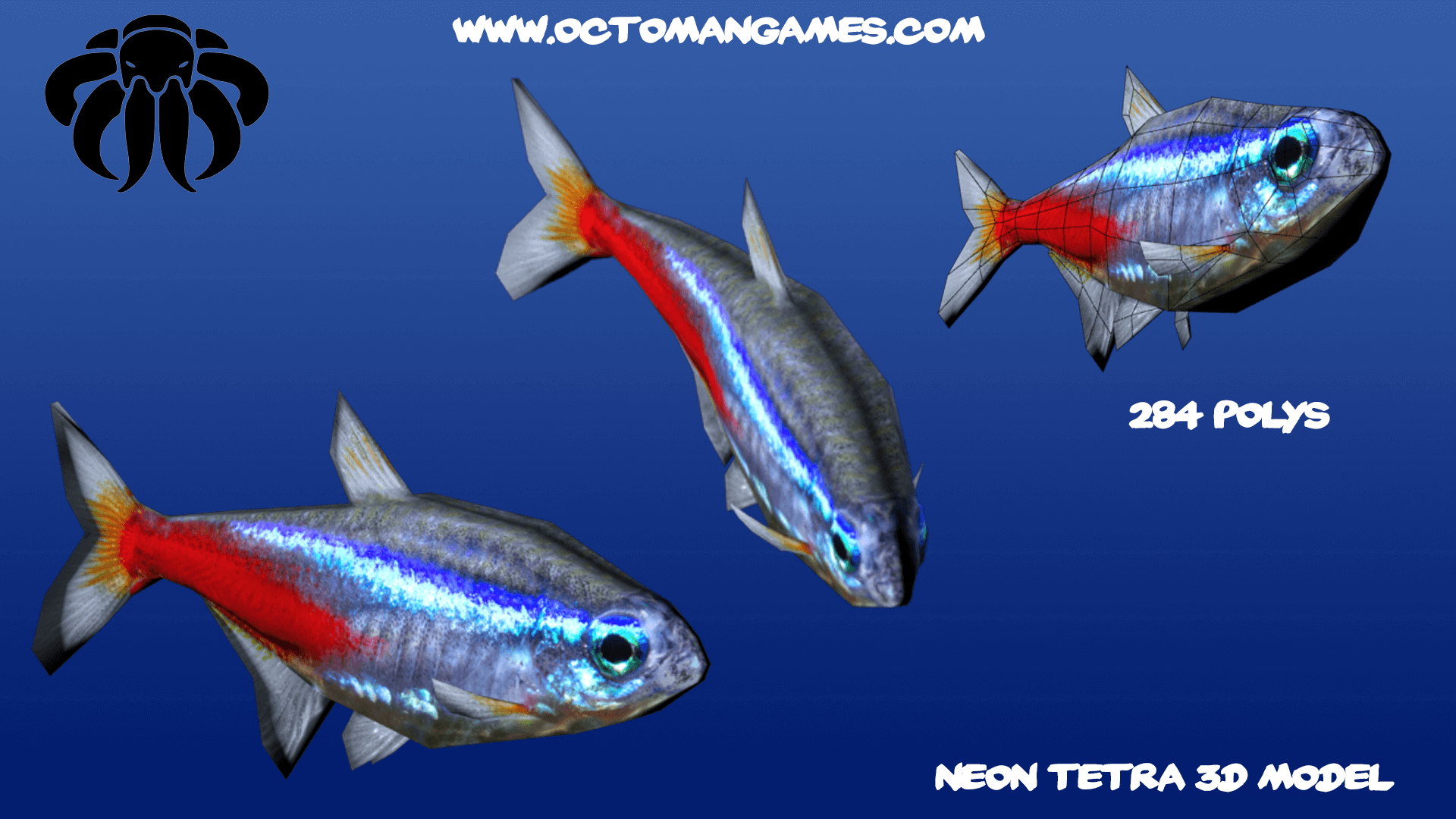 Neon Tetra OctoMan