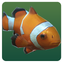 icon clown fish
